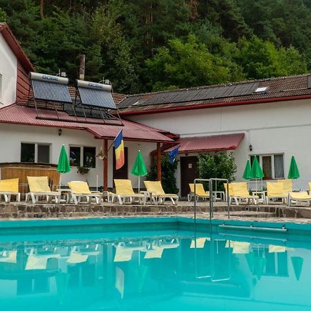 Pensiunea Alpin Păltiniş Exterior foto