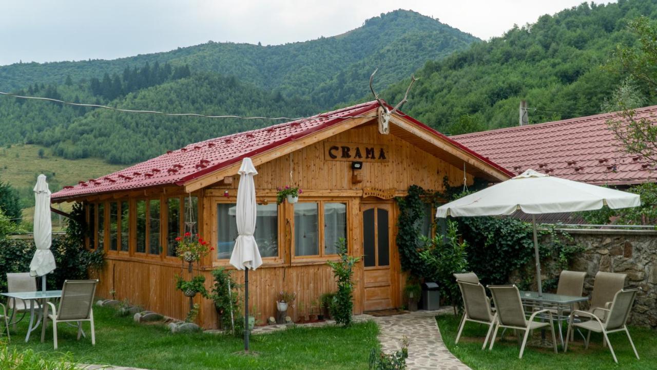 Pensiunea Alpin Păltiniş Exterior foto