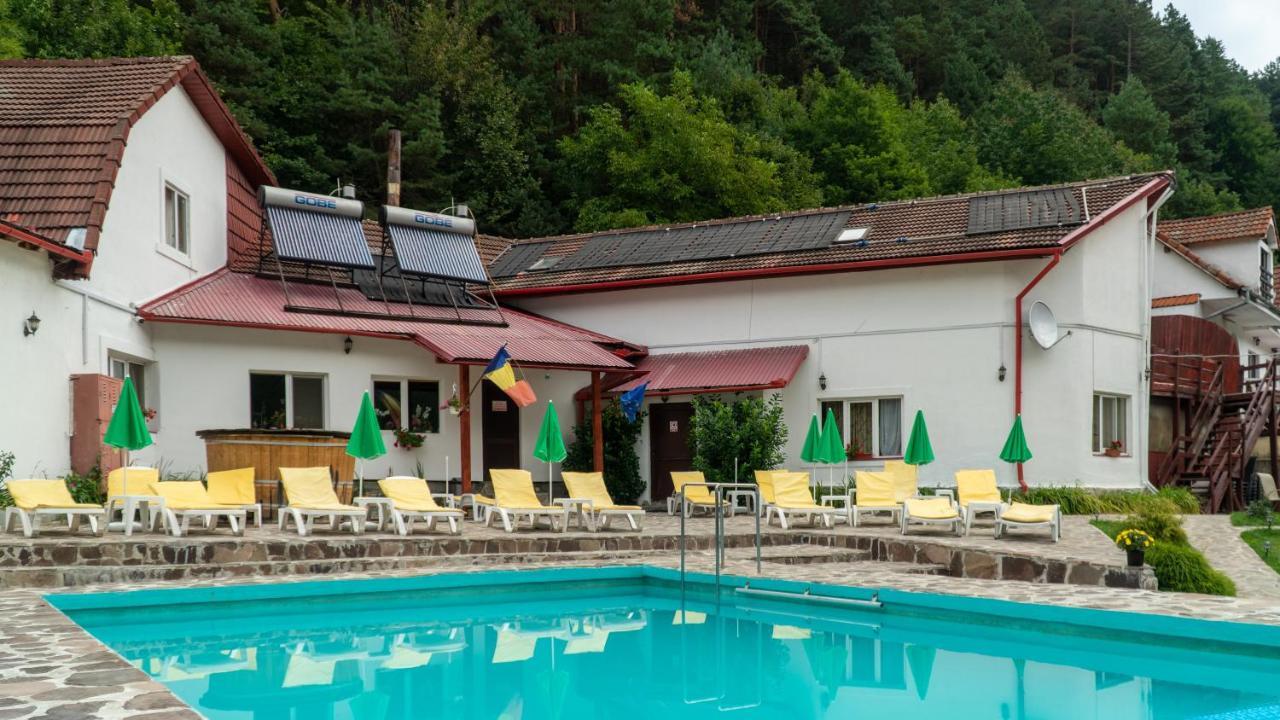 Pensiunea Alpin Păltiniş Exterior foto