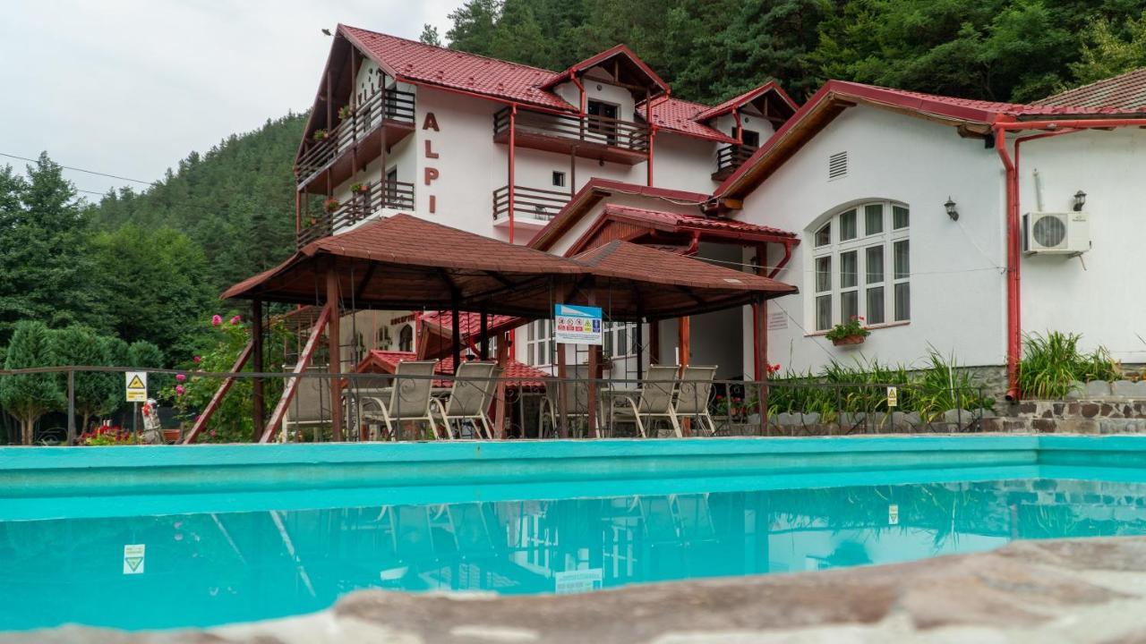 Pensiunea Alpin Păltiniş Exterior foto