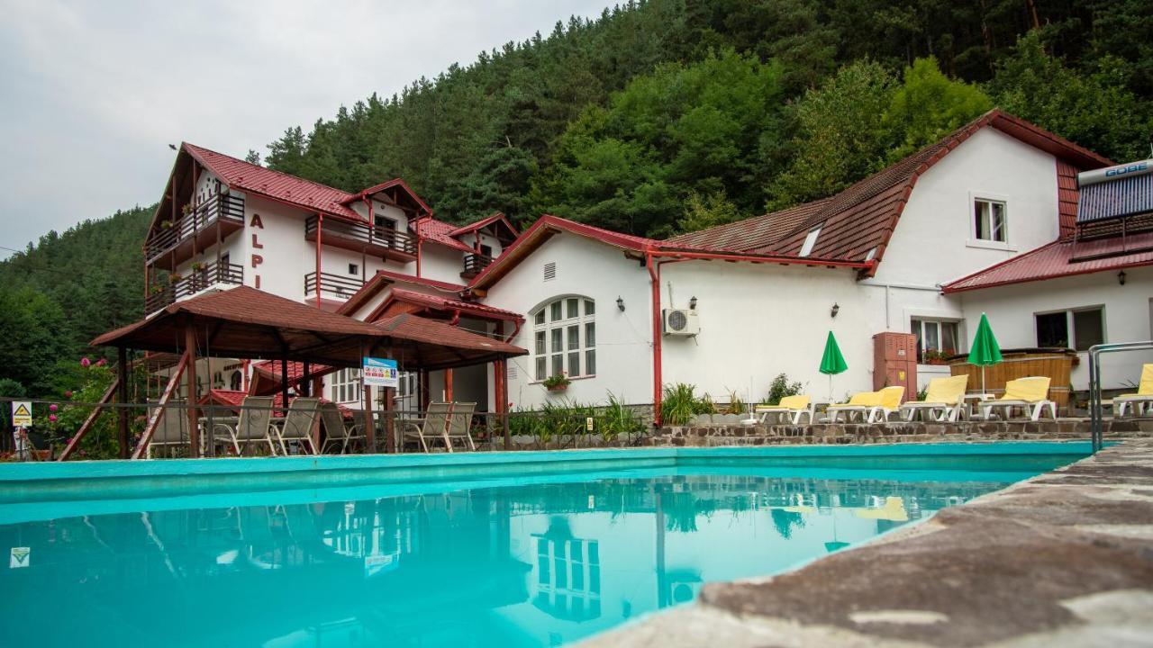 Pensiunea Alpin Păltiniş Exterior foto