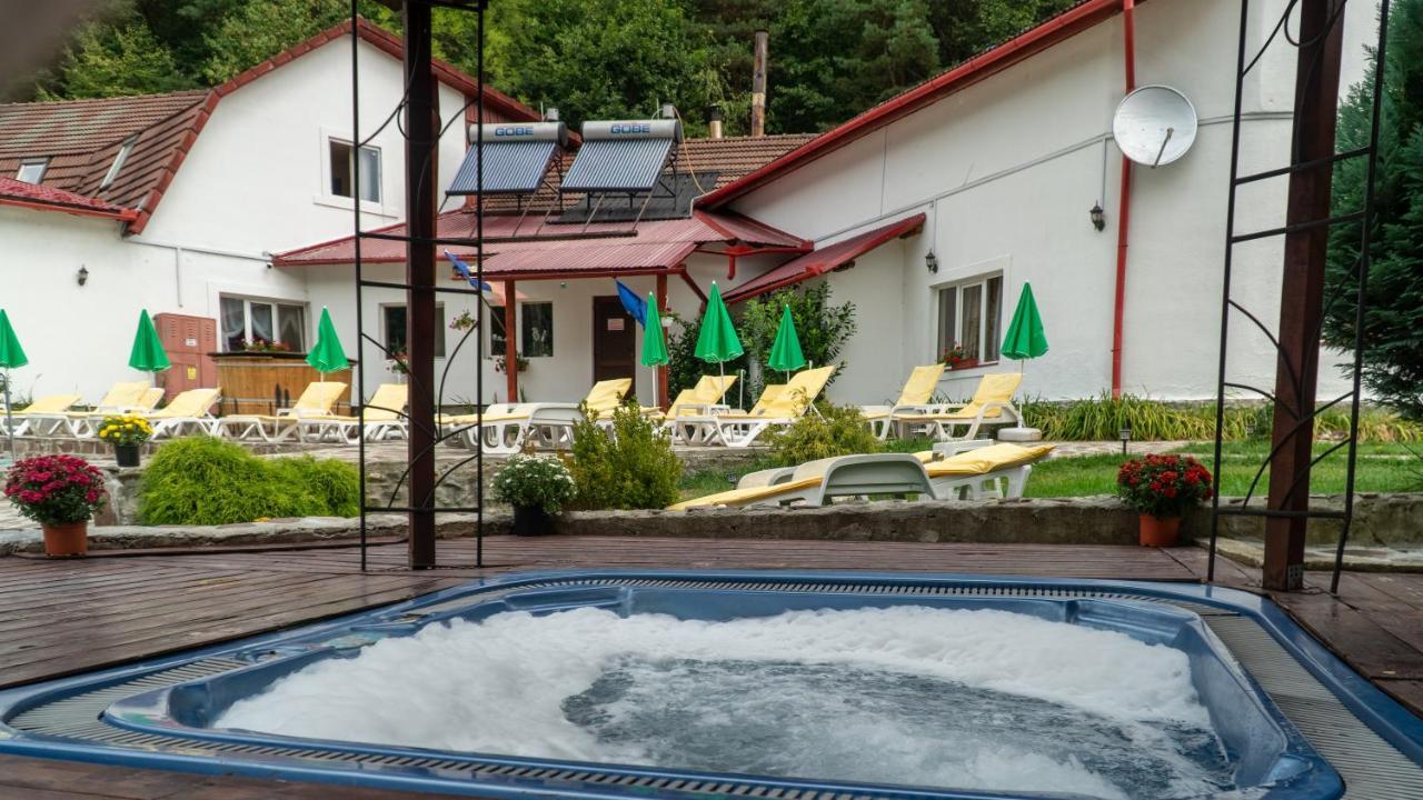 Pensiunea Alpin Păltiniş Exterior foto