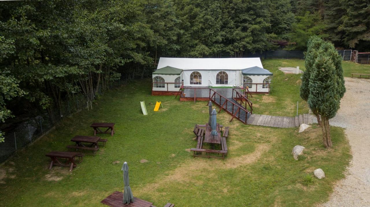 Pensiunea Alpin Păltiniş Exterior foto