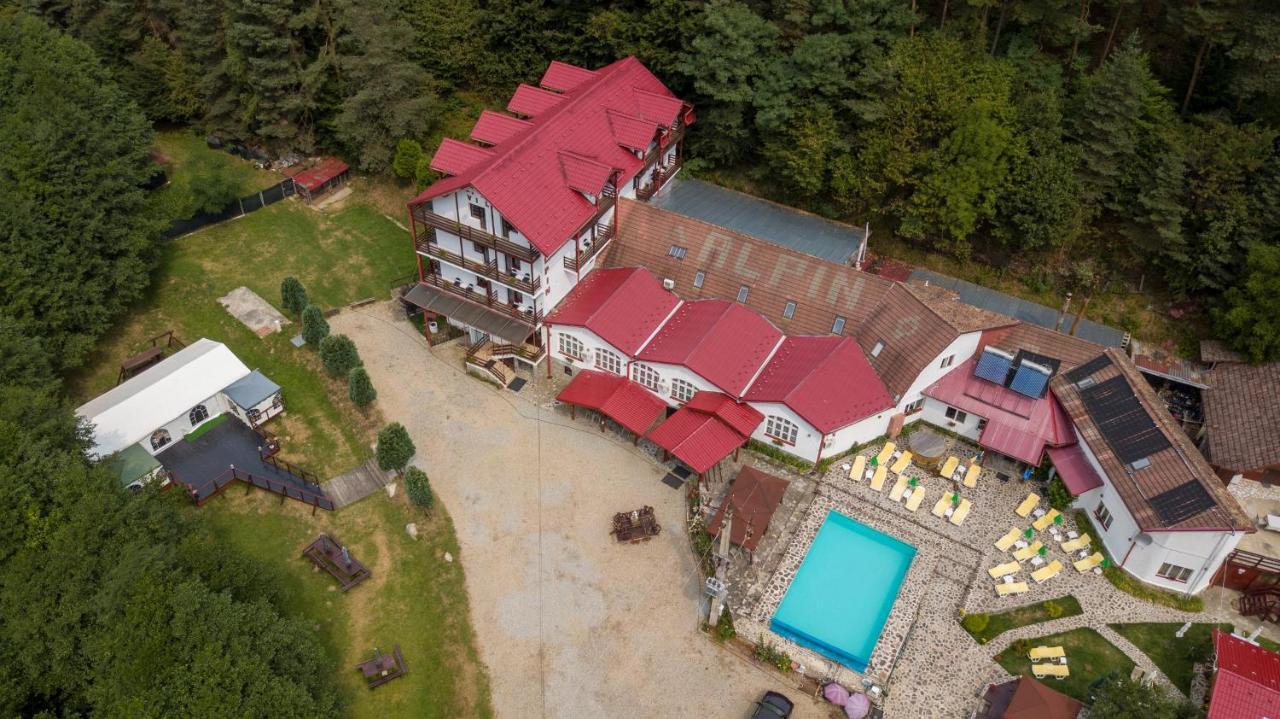Pensiunea Alpin Păltiniş Exterior foto