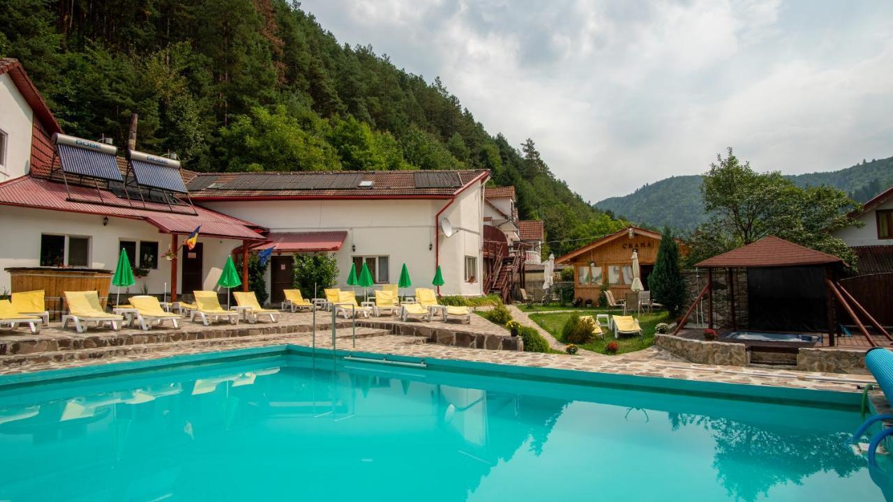 Pensiunea Alpin Păltiniş Exterior foto
