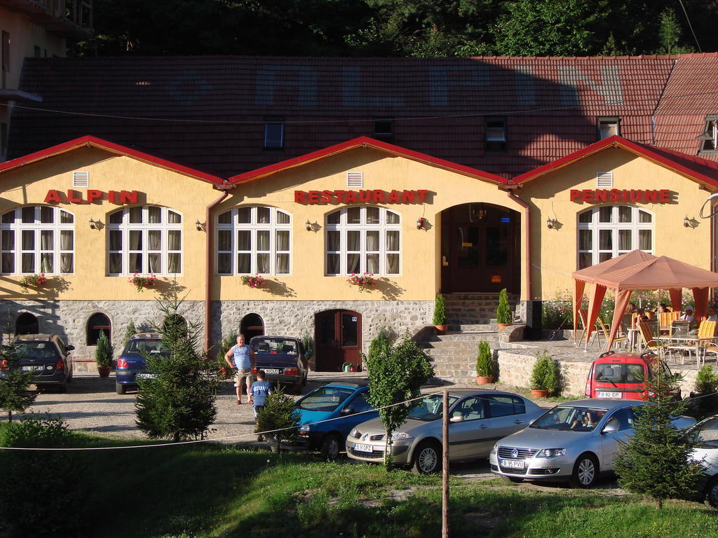 Pensiunea Alpin Păltiniş Exterior foto