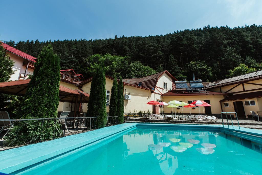 Pensiunea Alpin Păltiniş Exterior foto