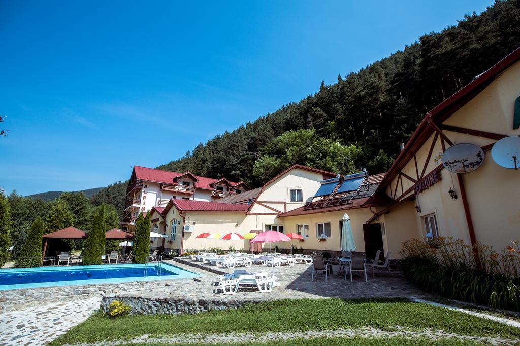 Pensiunea Alpin Păltiniş Exterior foto